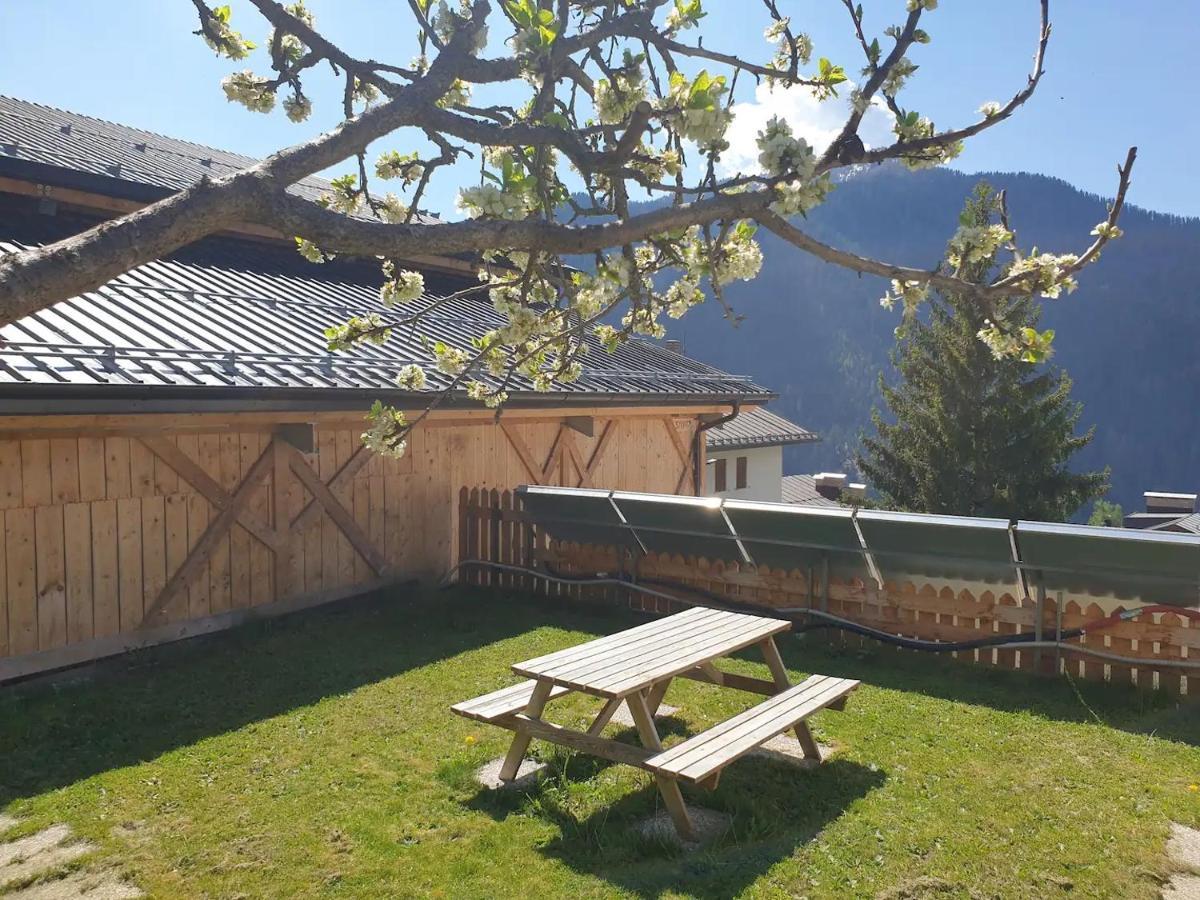 App. Monte Pore - Agriturismo La Majon 콜레 산타 루치아 외부 사진